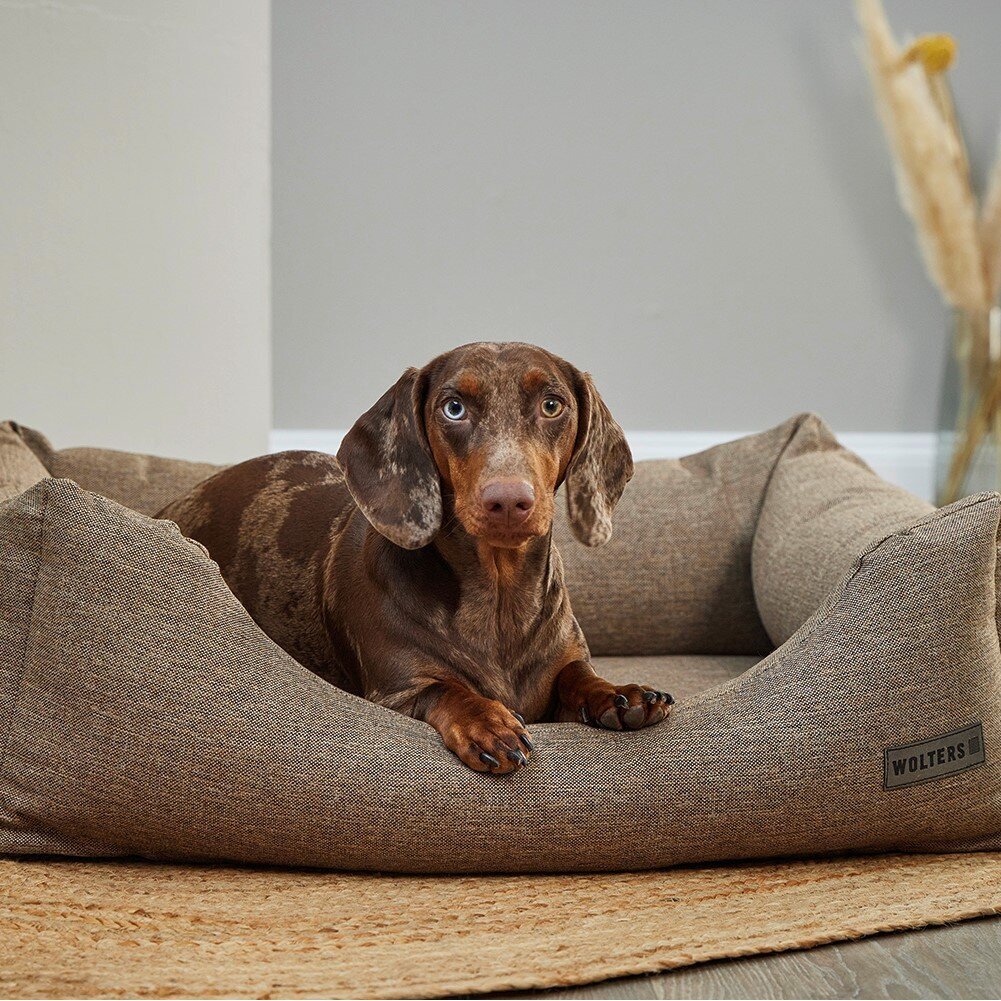 Dreamwell Hope Hundebett Bild 2