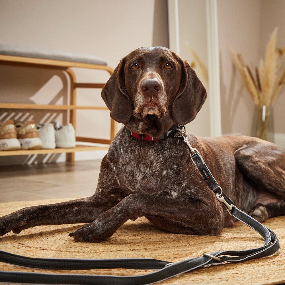 Führleine Active Pro Comfort Bild 2