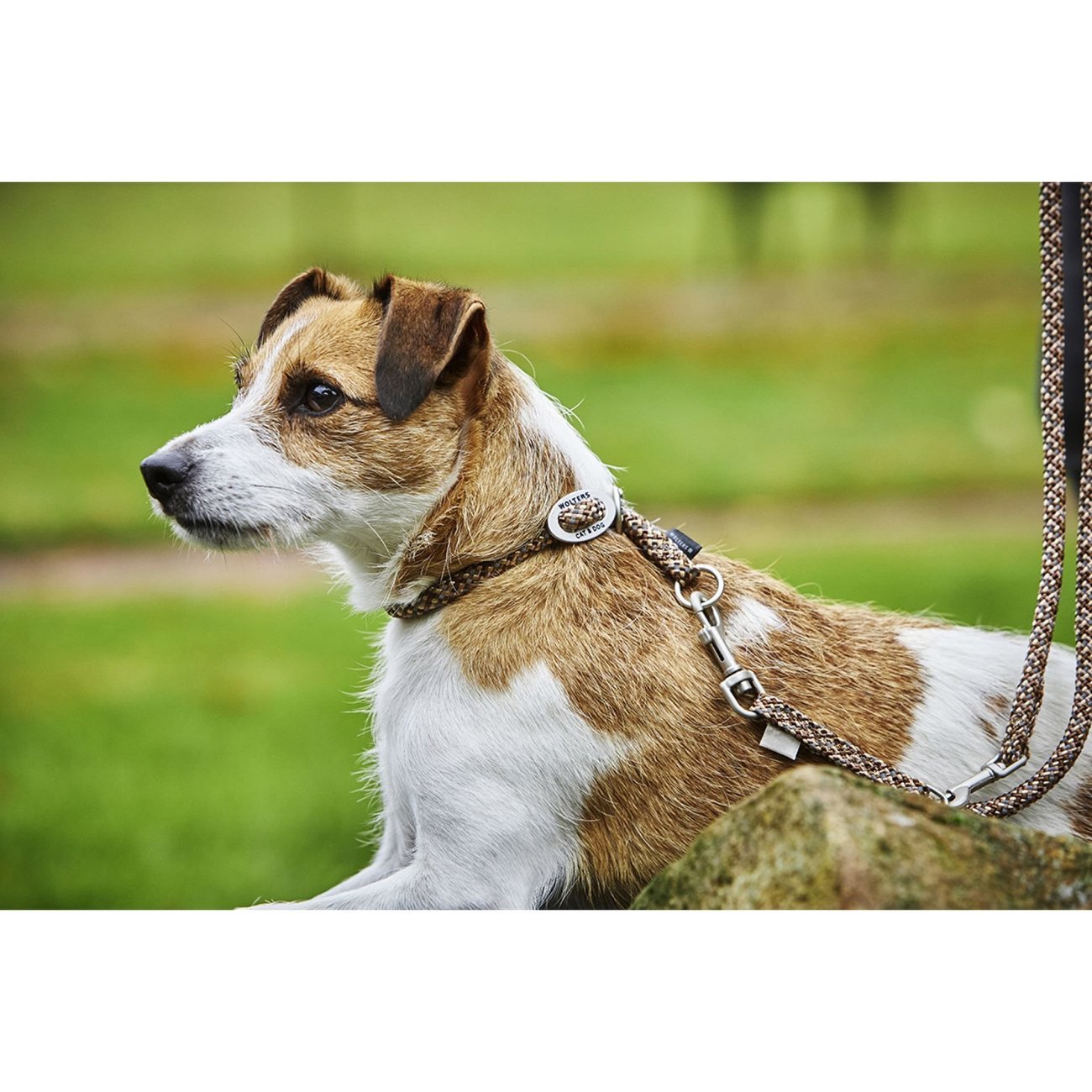 Wolters Führleine Everest reflektierend Bild 3