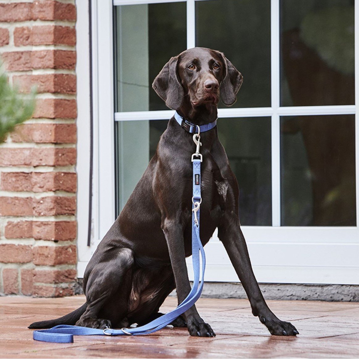 Wolters Führleine Professional Nylon Bild 2