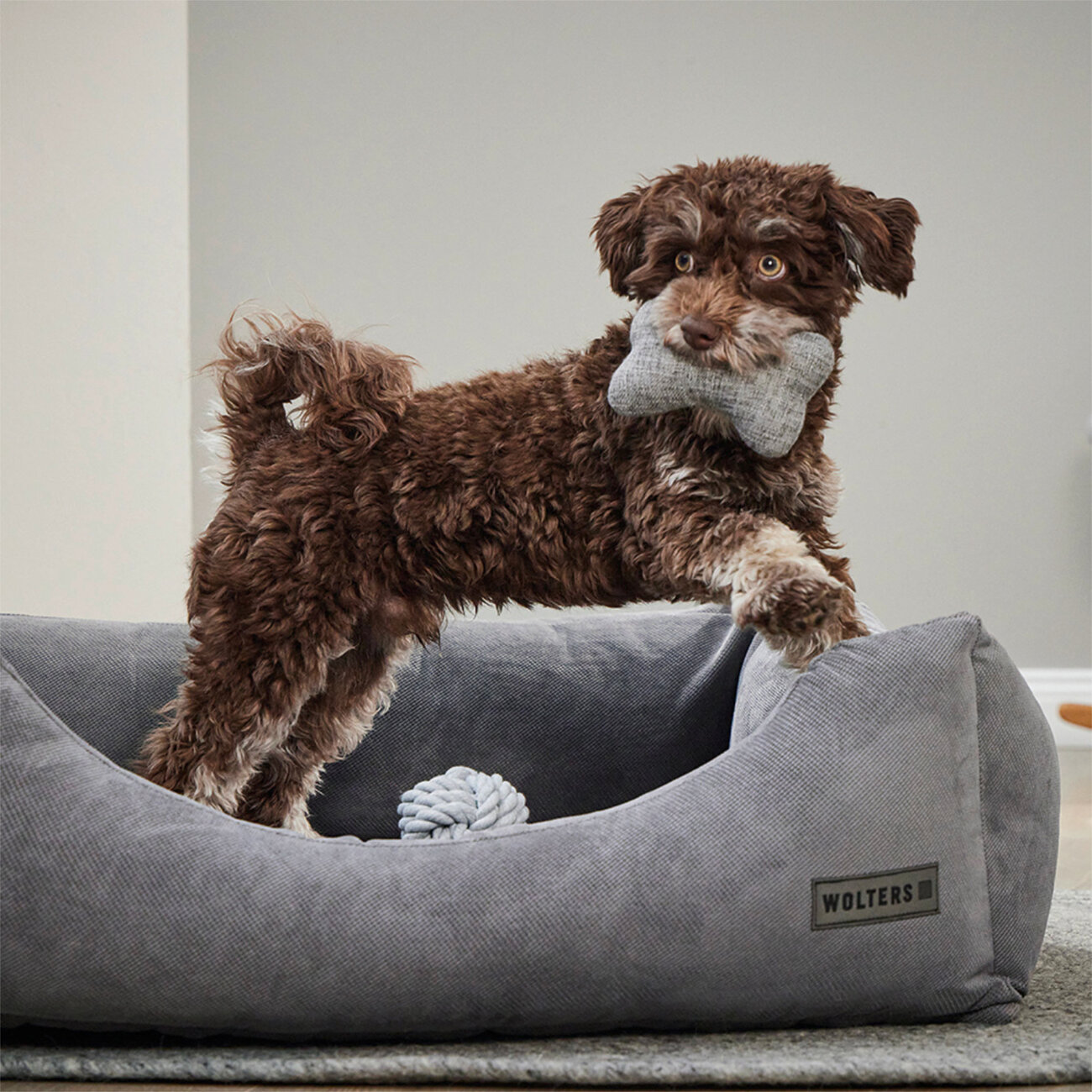 Geschenkset für Hunde Bild 2