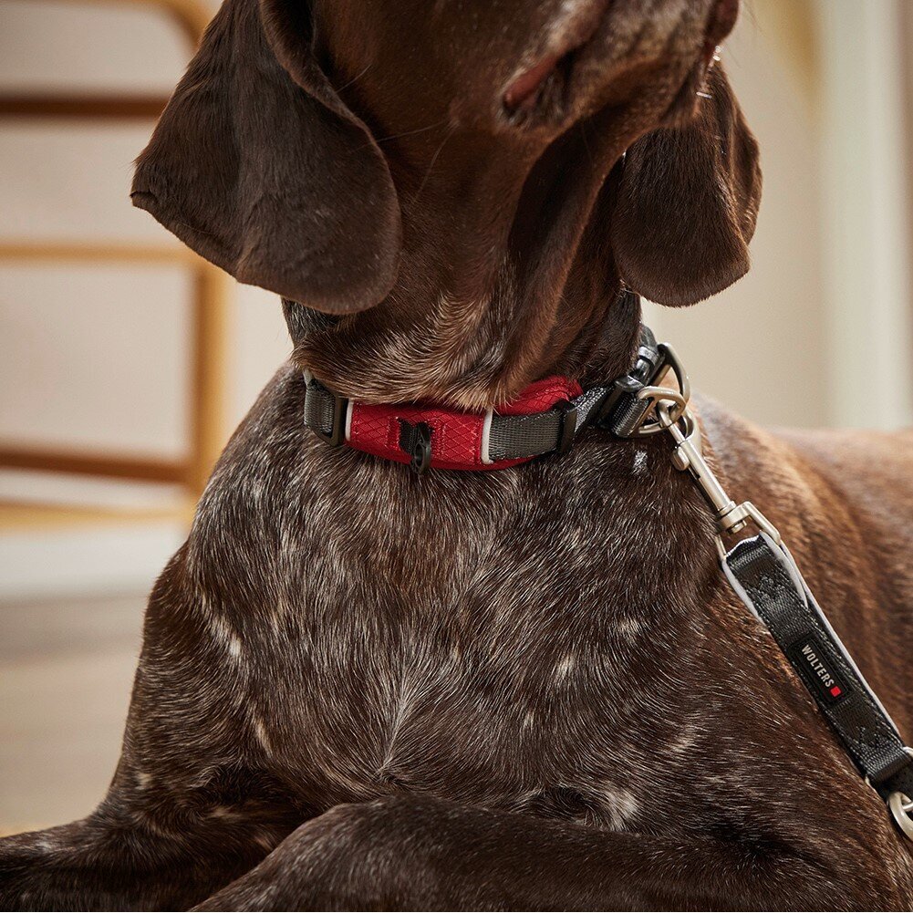 Halsband Active Pro Comfort Bild 2