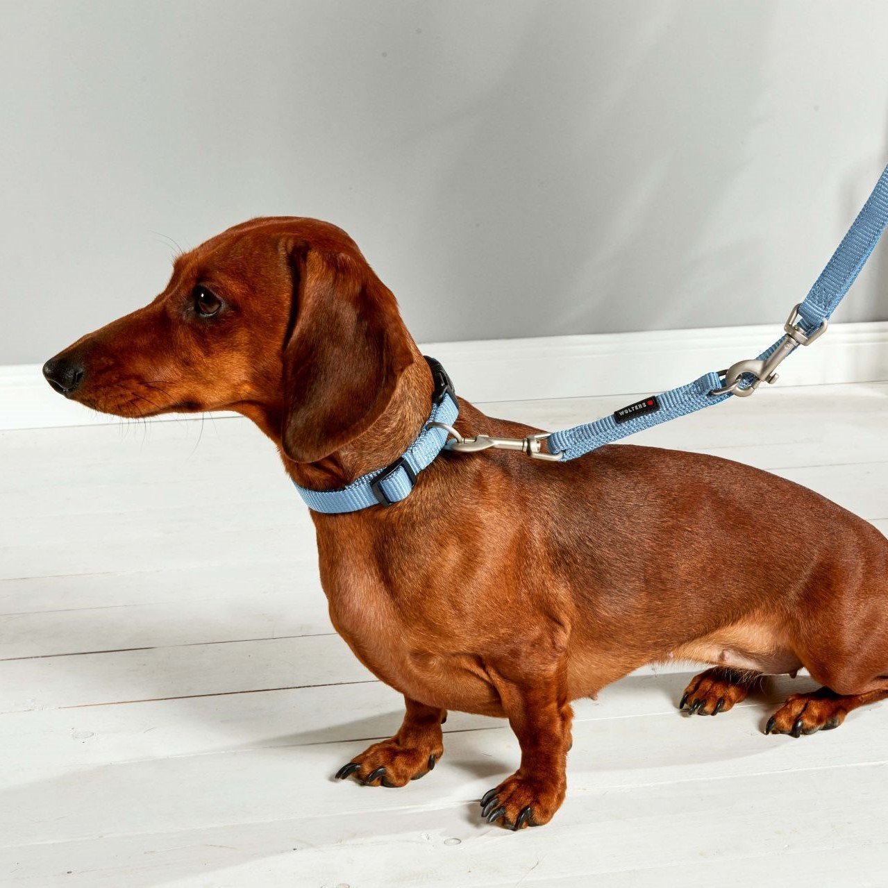 Wolters Halsband Nylon Professional Bild 2