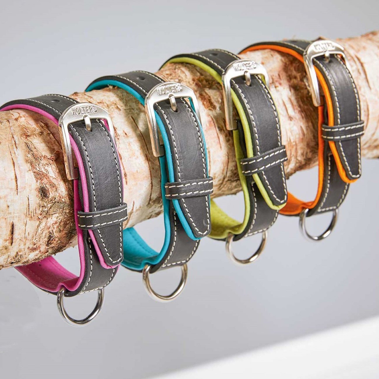 Wolters Halsband Terranova Fettleder Bild 3