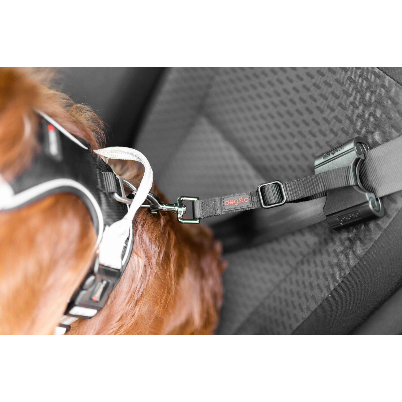 Hunde Sicherheitsgurt für kleine und mittlere Hunde Bild 2