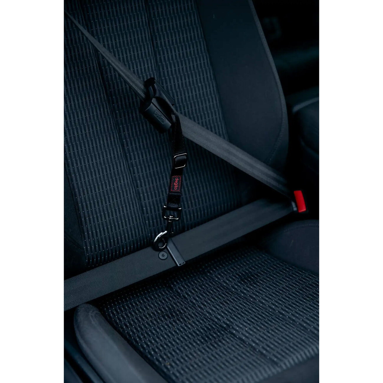 Hunde Sicherheitsgurt für kleine und mittlere Hunde Bild 6