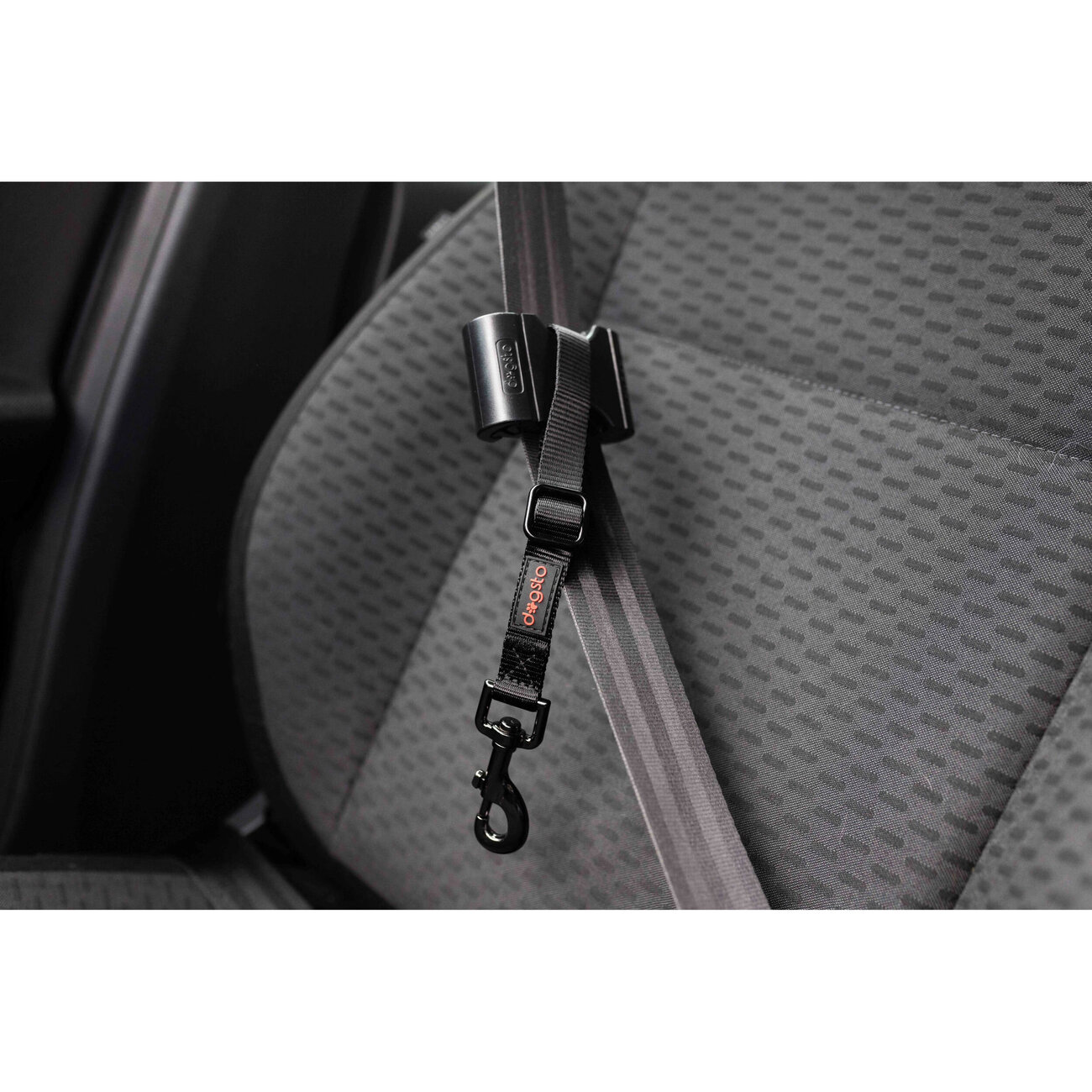 Hunde Sicherheitsgurt für kleine und mittlere Hunde Bild 7