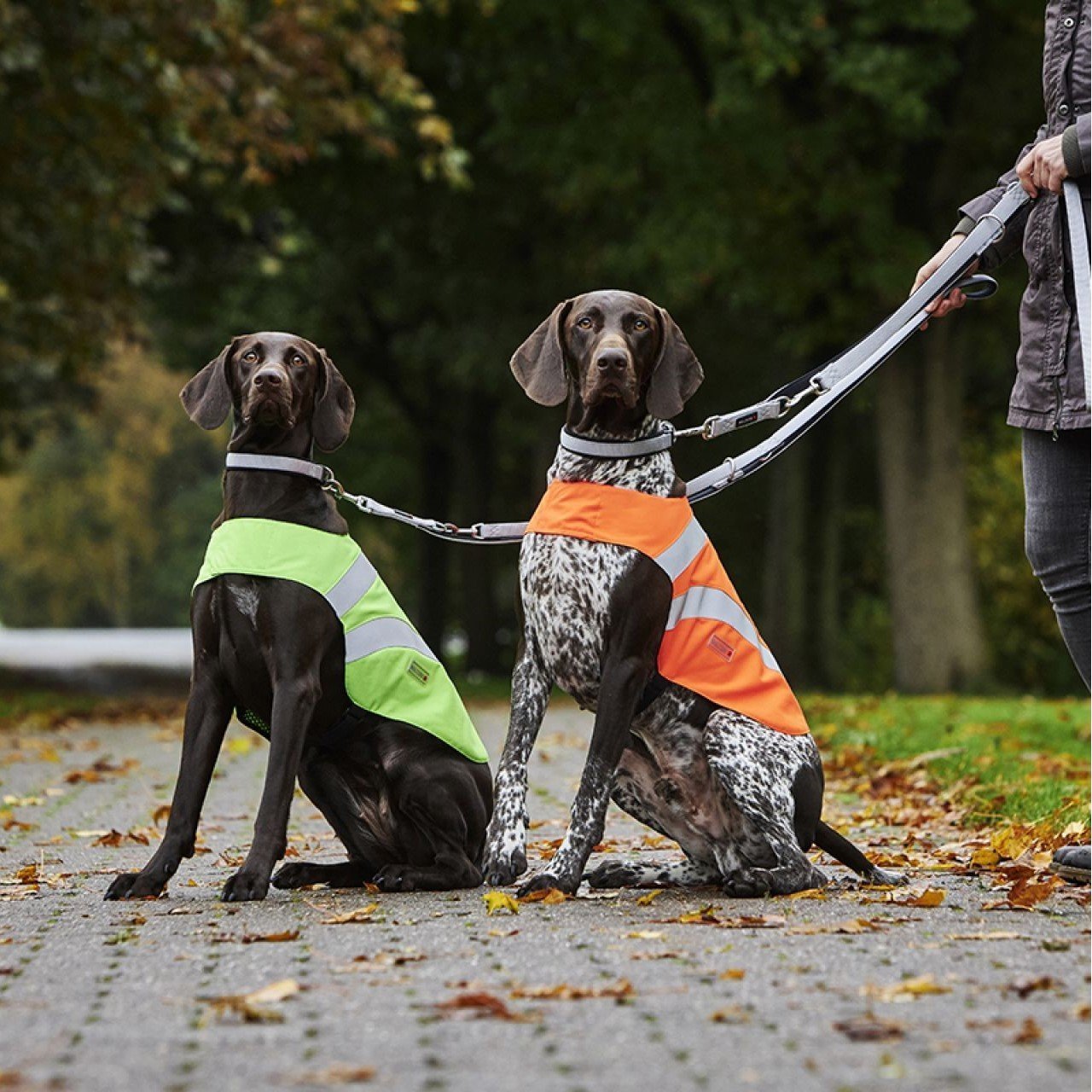 Hunde Sicherheitsweste Security Bild 2