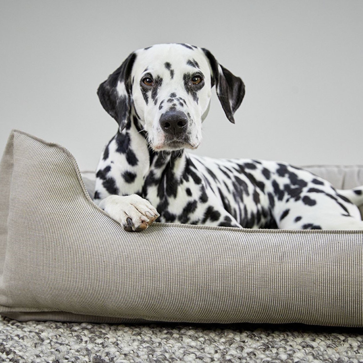 Wolters Hundebett Noble Stripes Bild 2