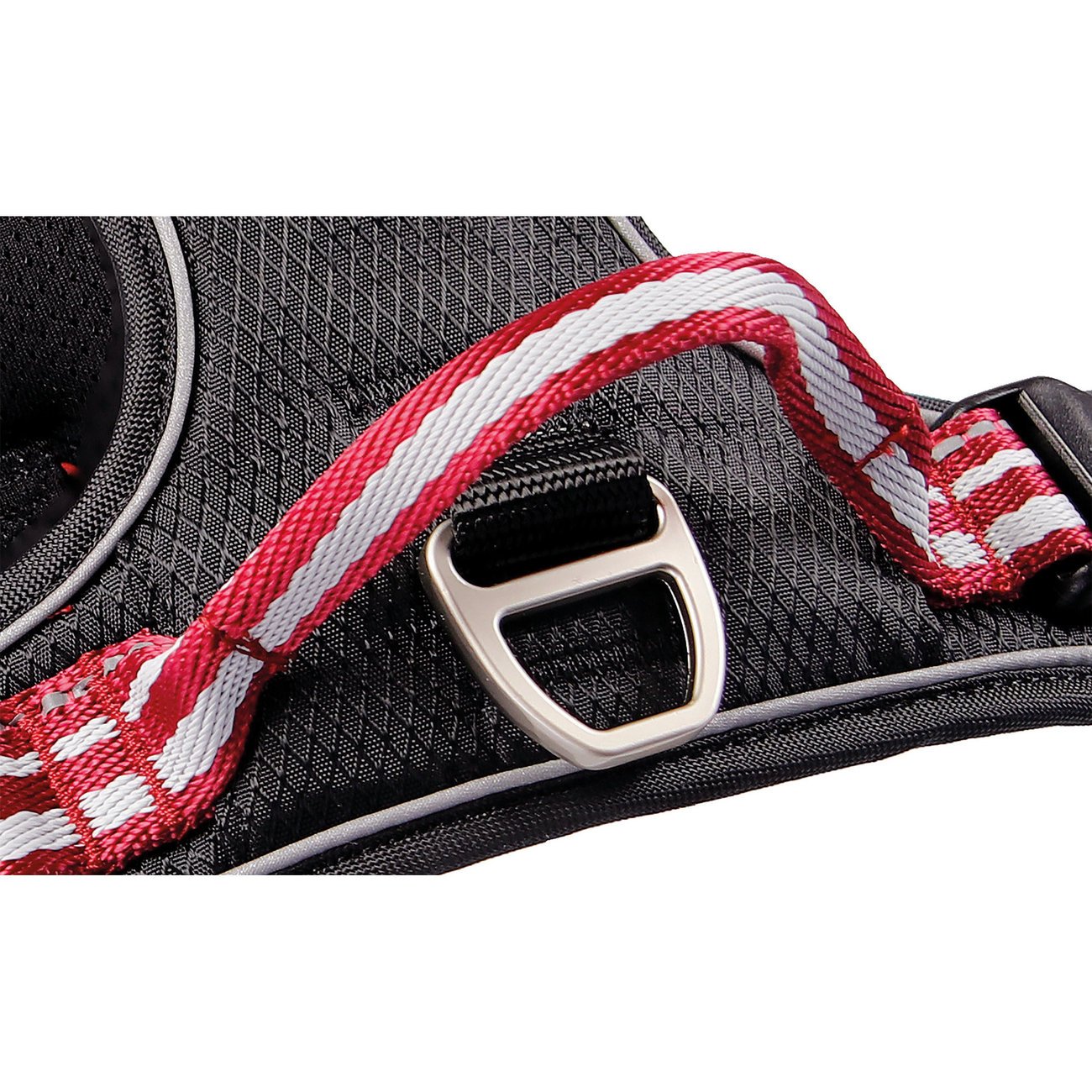 Hundegeschirr Active Pro Bild 7