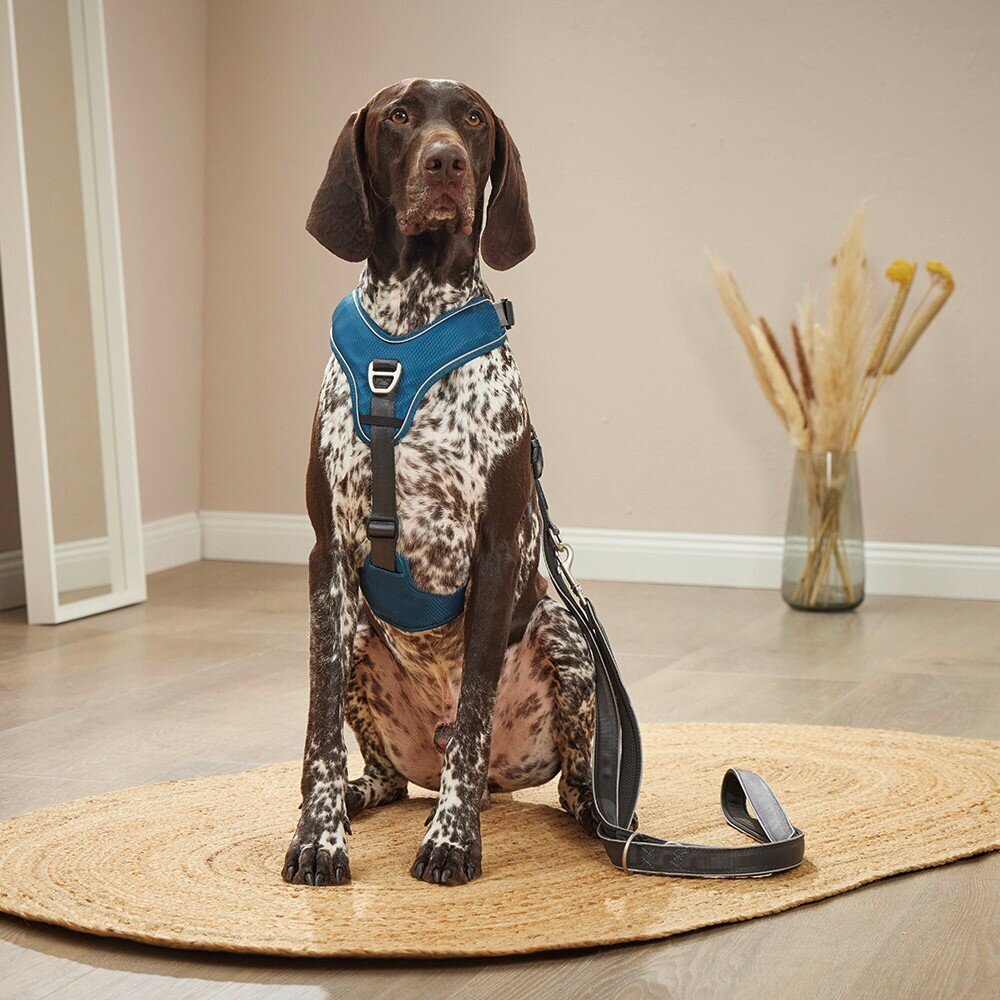 Hundegeschirr Active Pro Comfort Bild 2