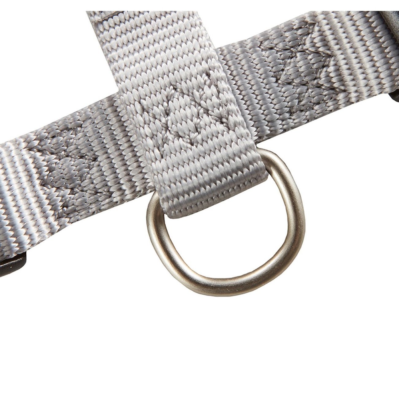 Hundegeschirr Professional für Mops & Co. Bild 20