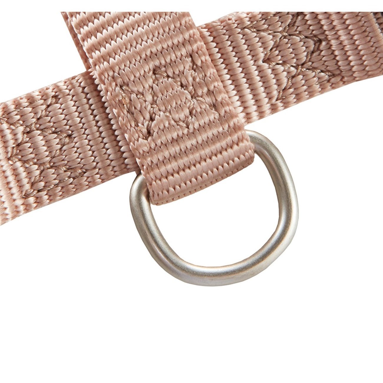 Hundegeschirr Professional für Mops & Co. Bild 25