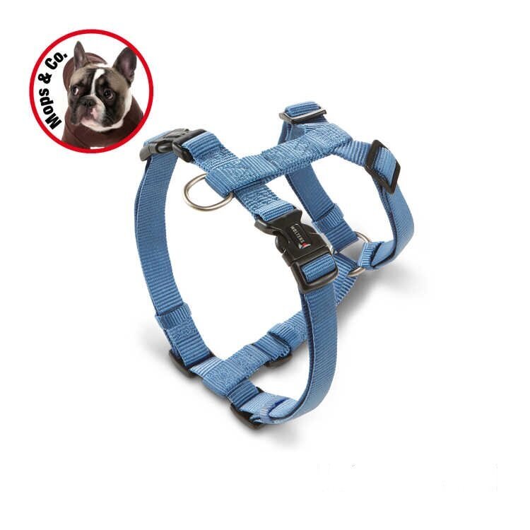 Hundegeschirr Professional für Mops & Co. Bild 37