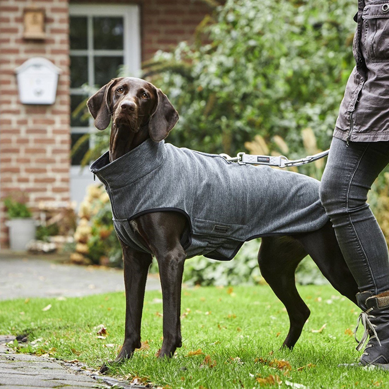Hundemantel Fleecejacke Casual Soft & Dry Bild 4