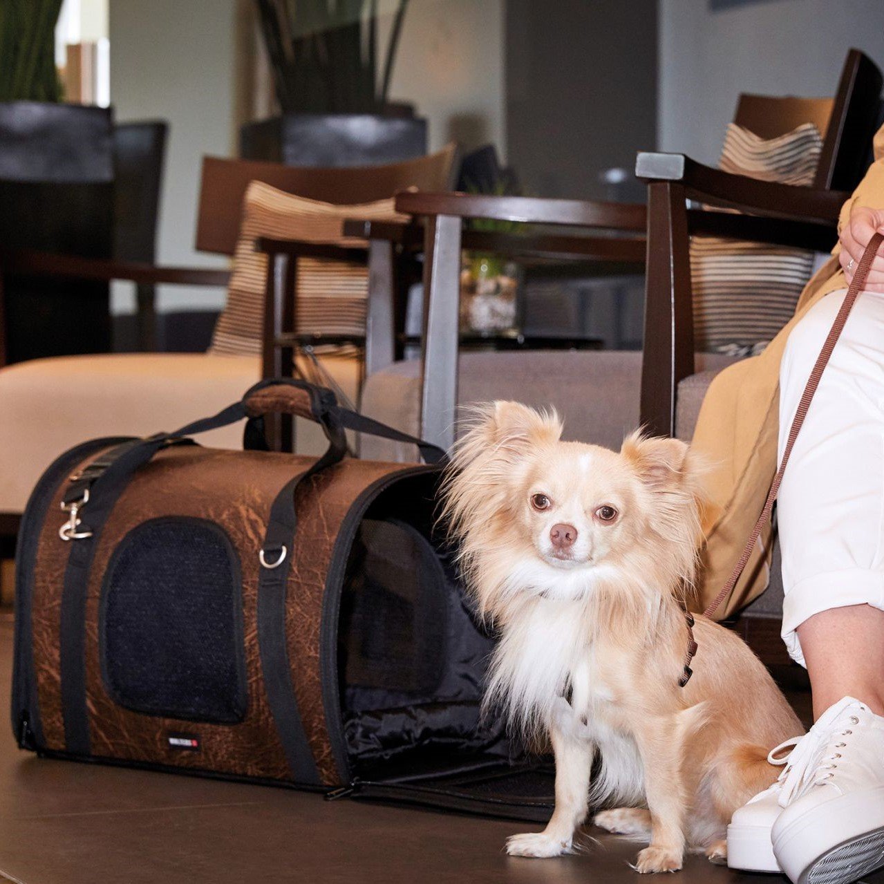 Wolters Hundetasche Senator Bild 4