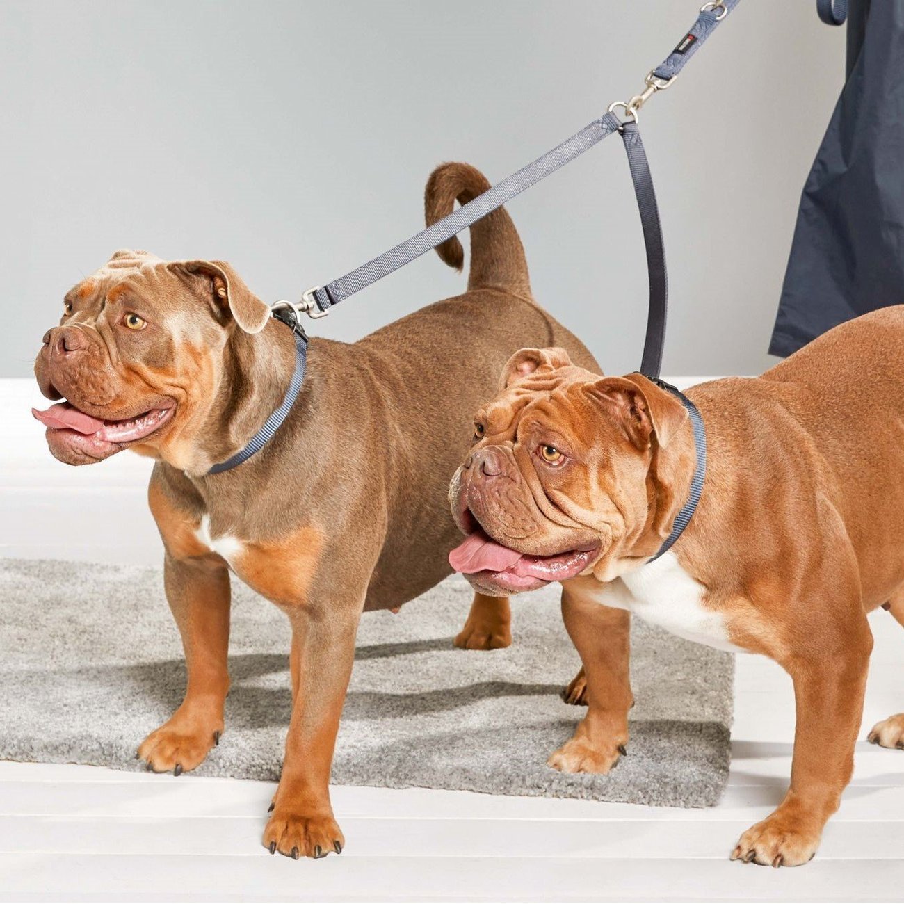 Wolters Koppel Professional Nylon Bild 2