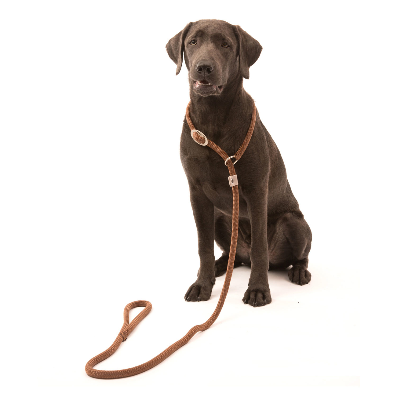 Wolters Moxonleine K2 Tau Bild 12