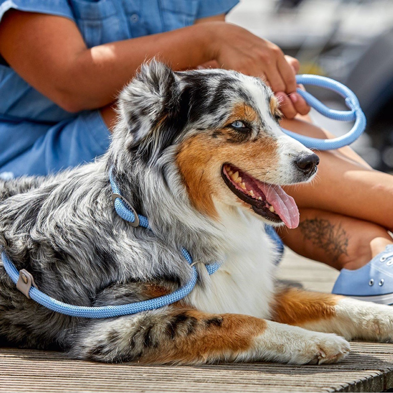 Wolters Moxonleine K2 Tau Bild 2