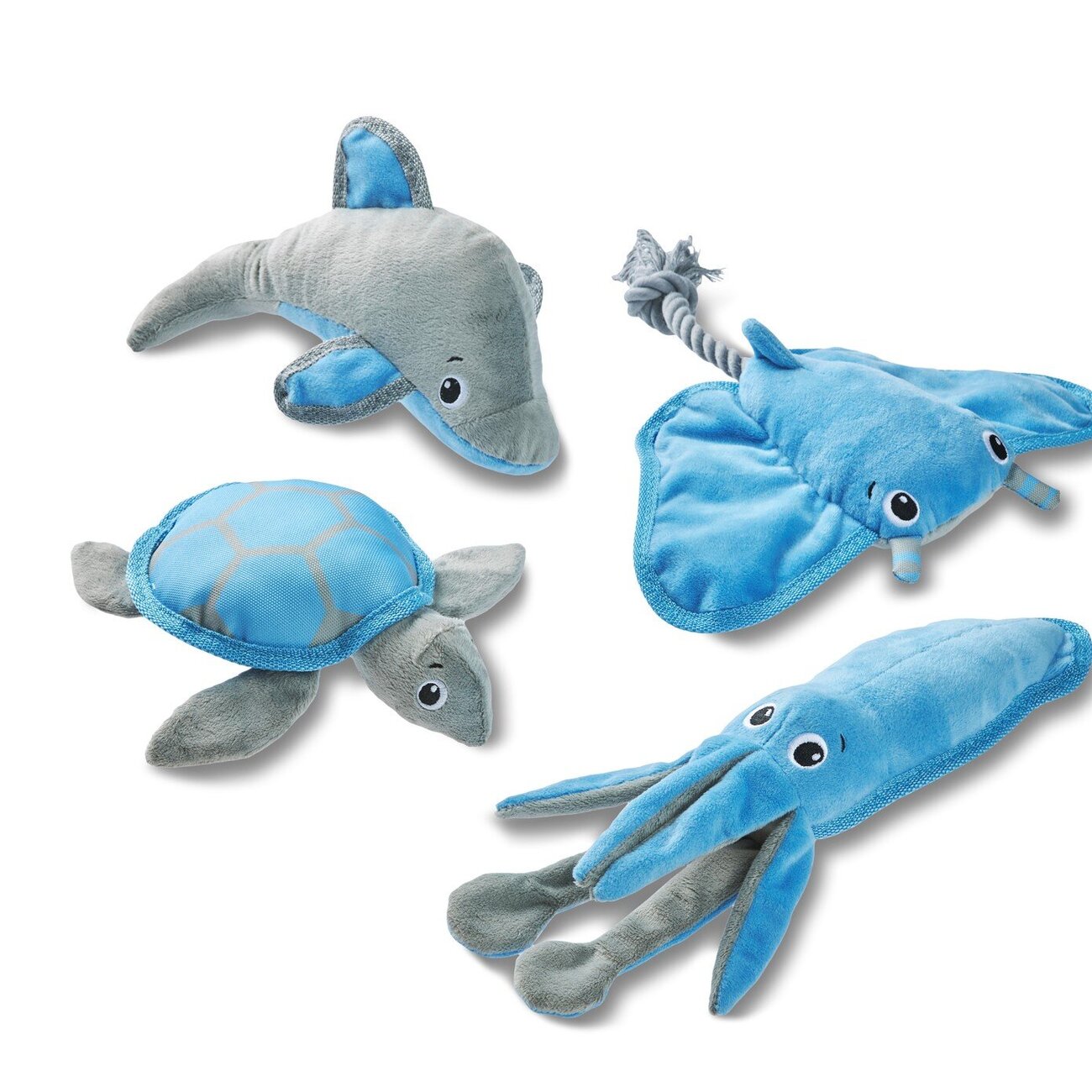 Ocean Range Schildkröte Bild 2