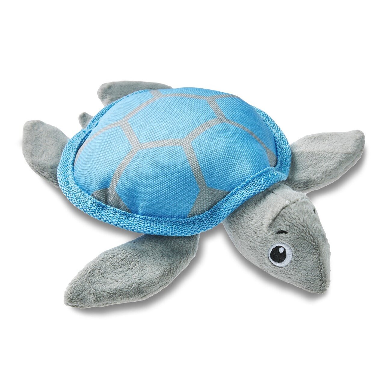 Ocean Range Schildkröte Bild 1