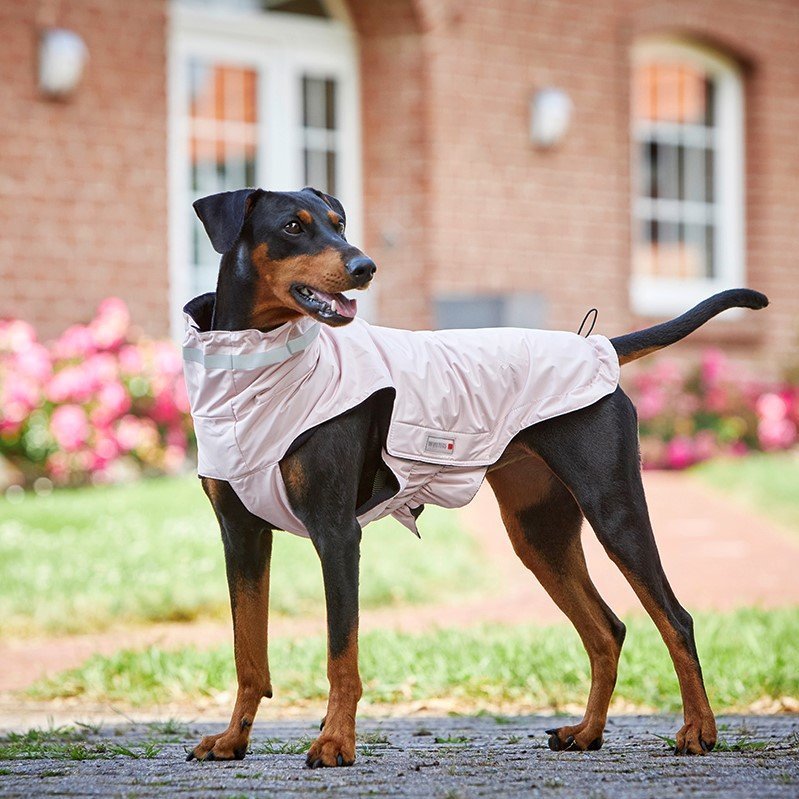 Outdoorjacke Modern Classic Bild 5