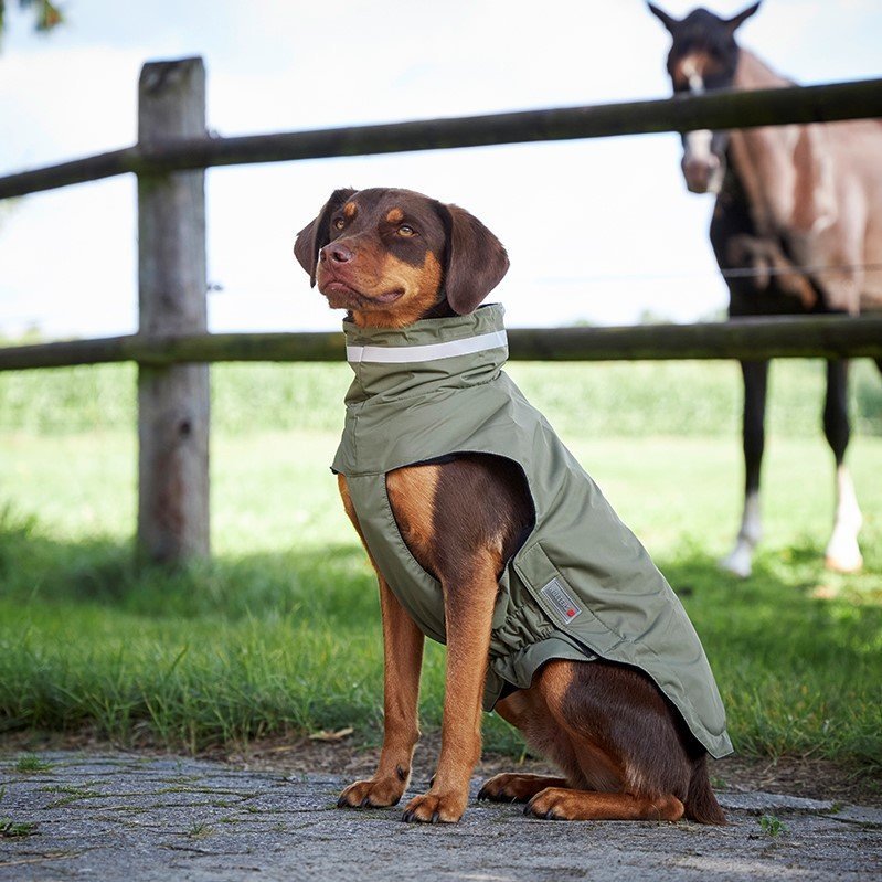 Outdoorjacke Modern Classic Bild 2