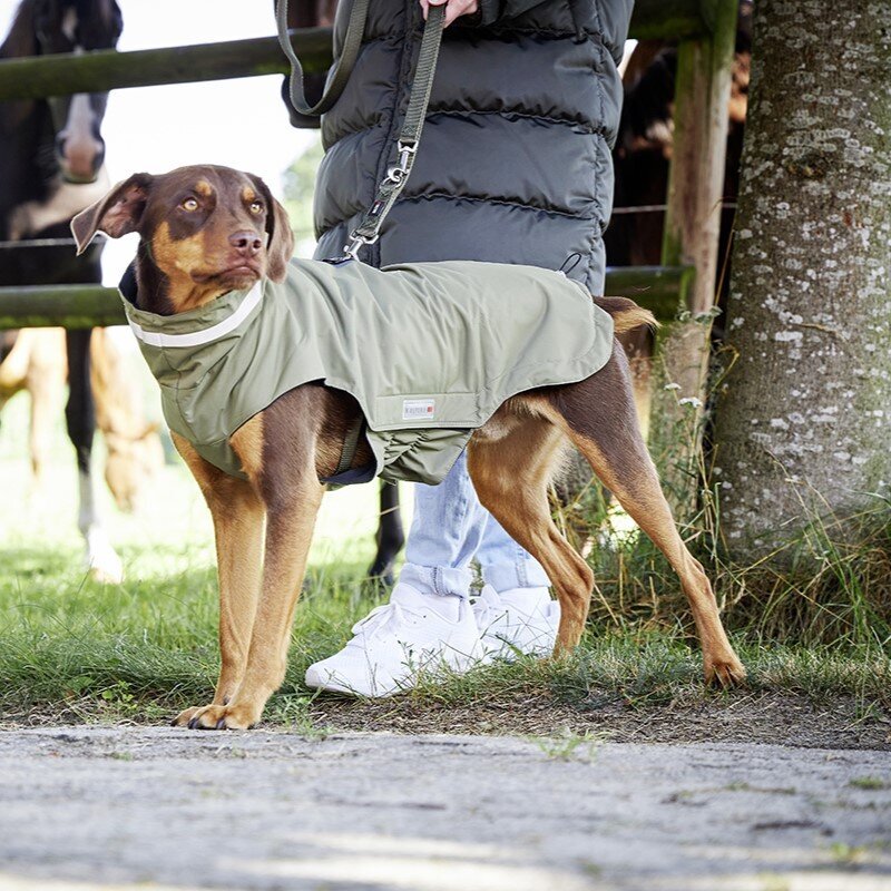 Outdoorjacke Modern Classic Bild 7