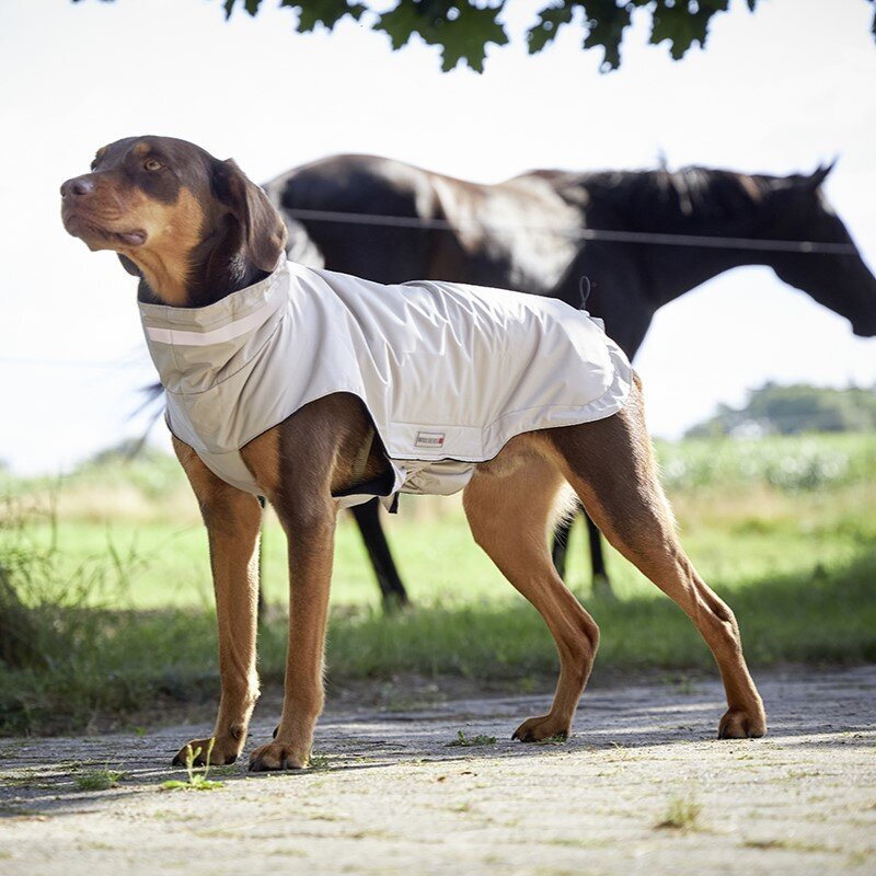 Outdoorjacke Modern Classic Bild 8