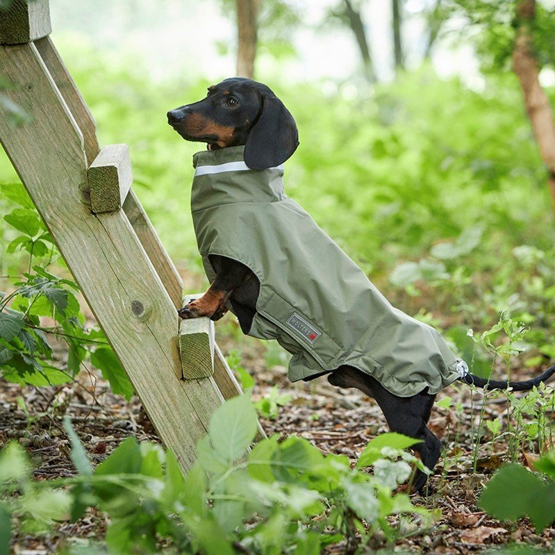 Outdoorjacke Modern Classic für Dackel Bild 2