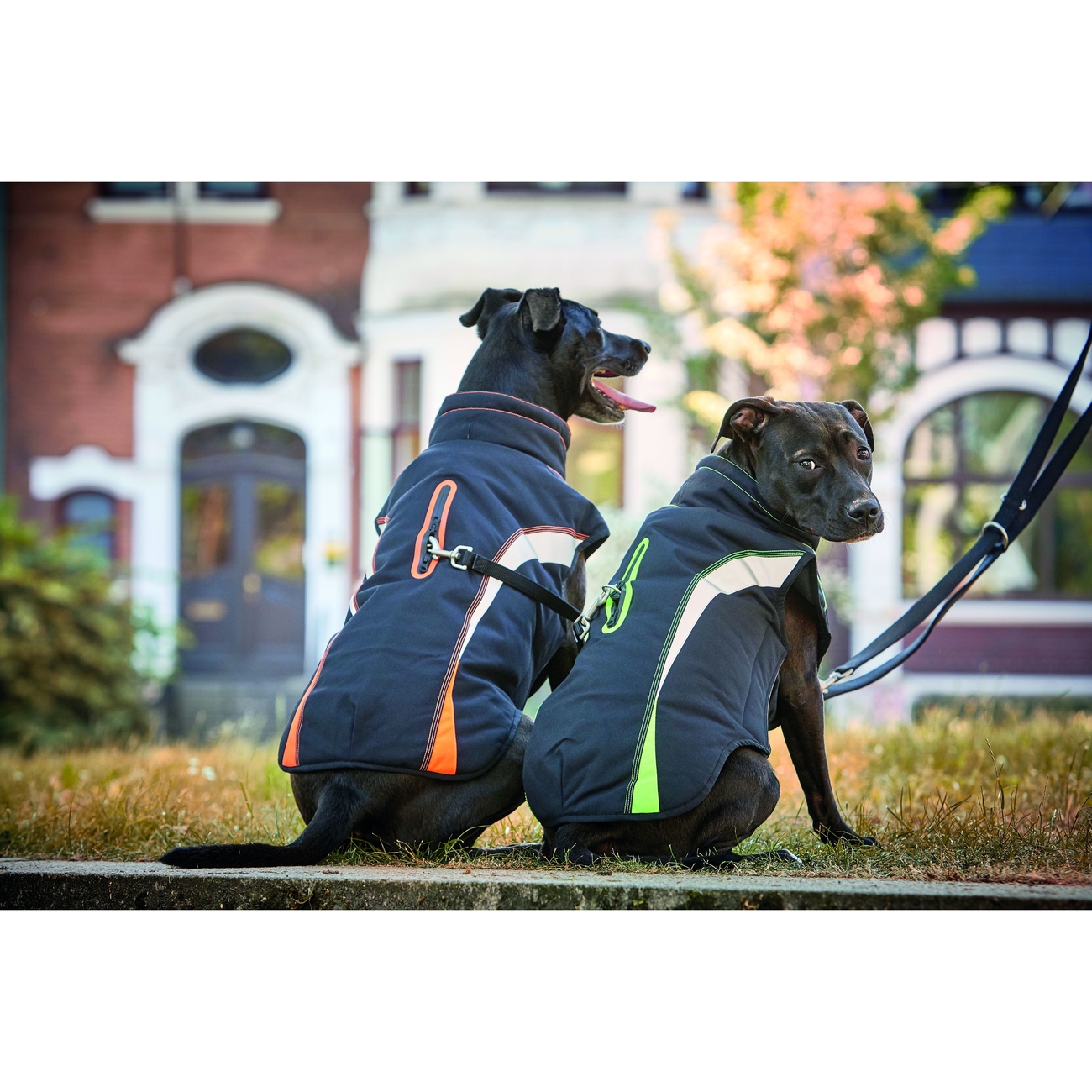 Wolters Outdoorjacke Xtra Strong Bild 2