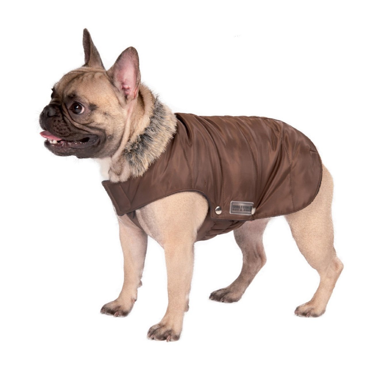 Wolters Parka für Mops & Co mit Fellkragen Bild 4