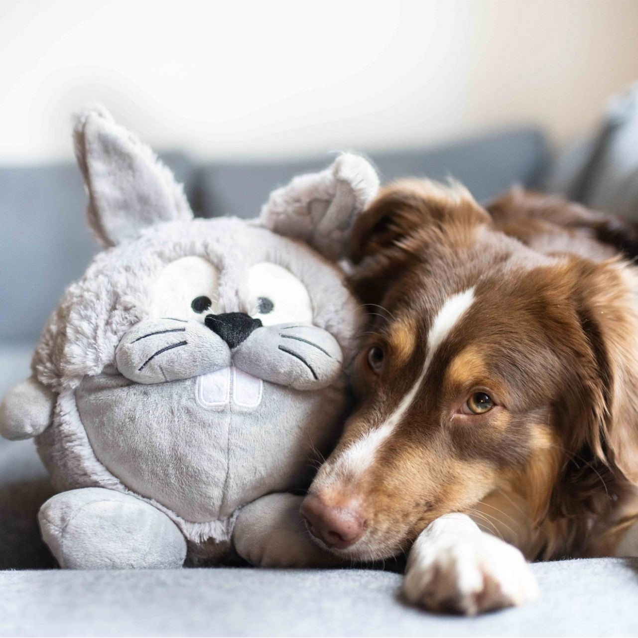 Plüschball Hase und Häsin Bild 2