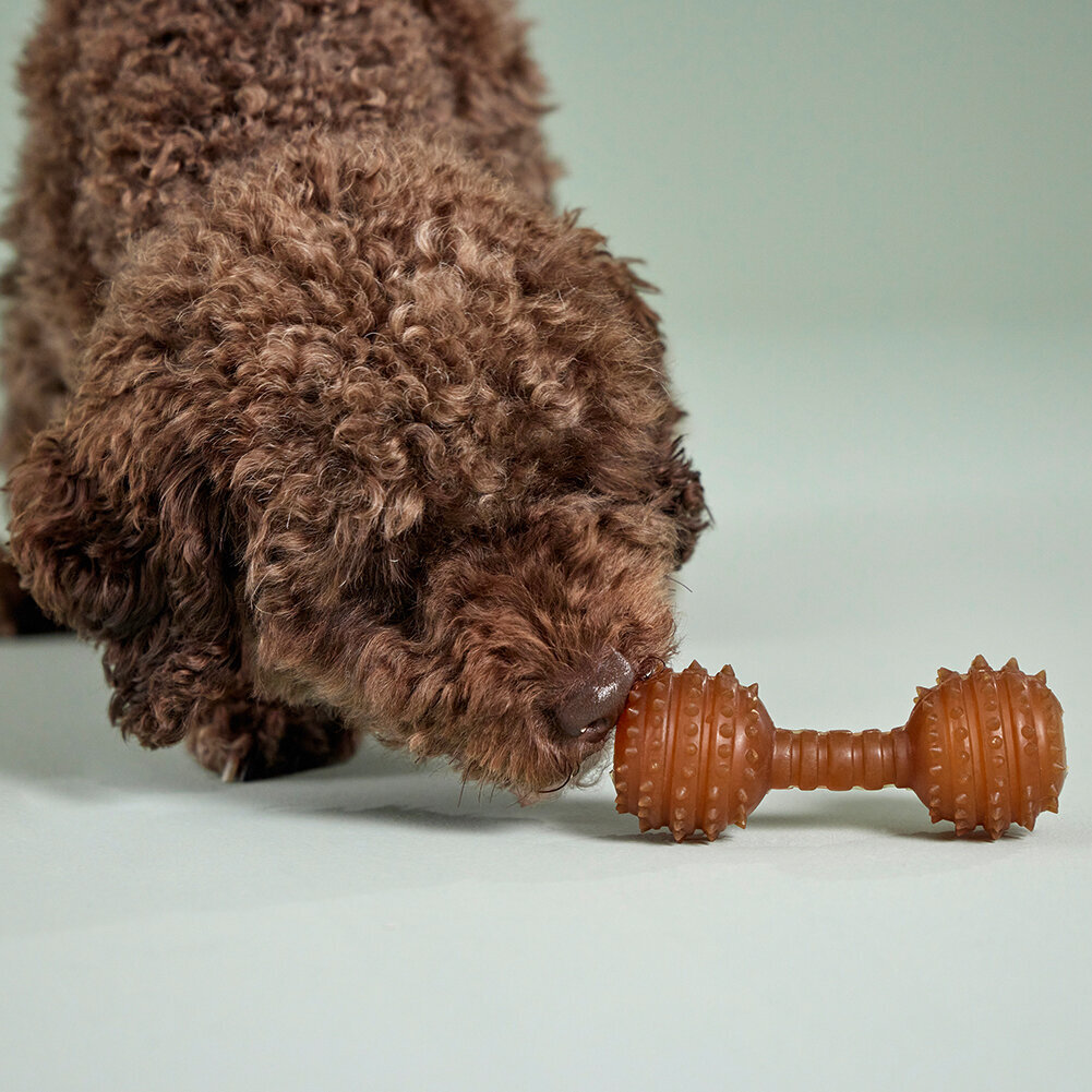 Pure Nature Dental Hantel Bild 2