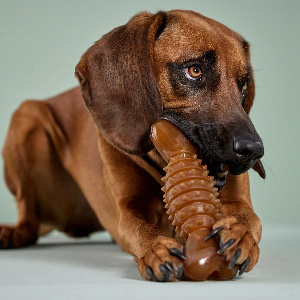 Pure Nature Dental Herzknochen Bild 2