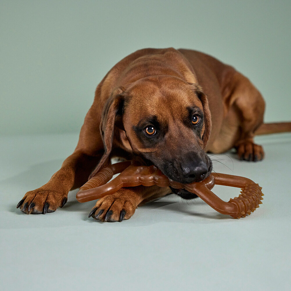 Pure Nature Fitness Zerrspielzeug Bild 2