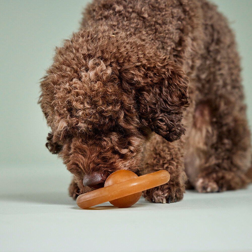 Pure Nature Spielrad Bild 2