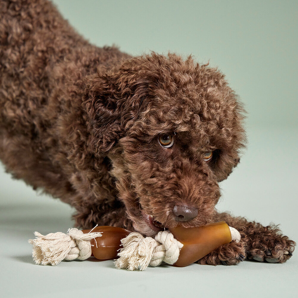 Pure Nature Spielzeugtau Knochen Bild 2