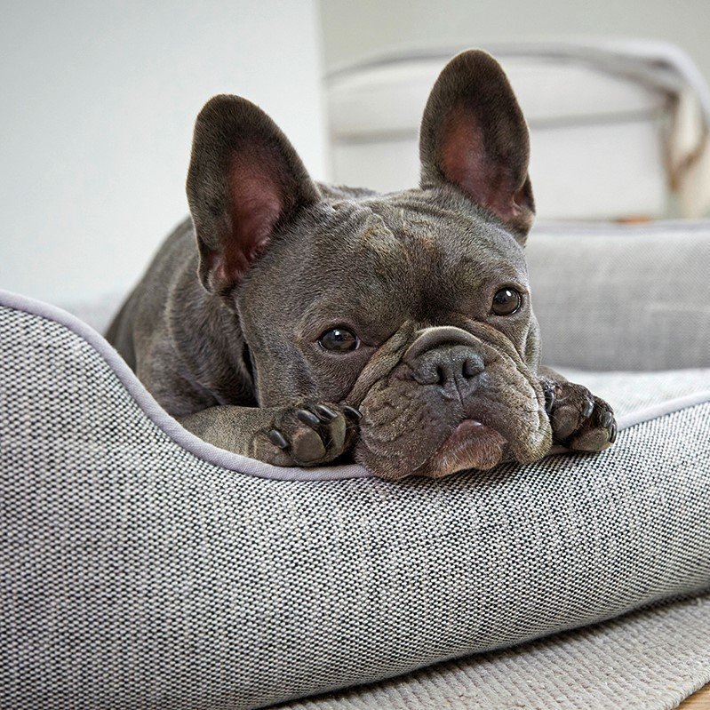 Recycling Lounge Hundebett Bild 4