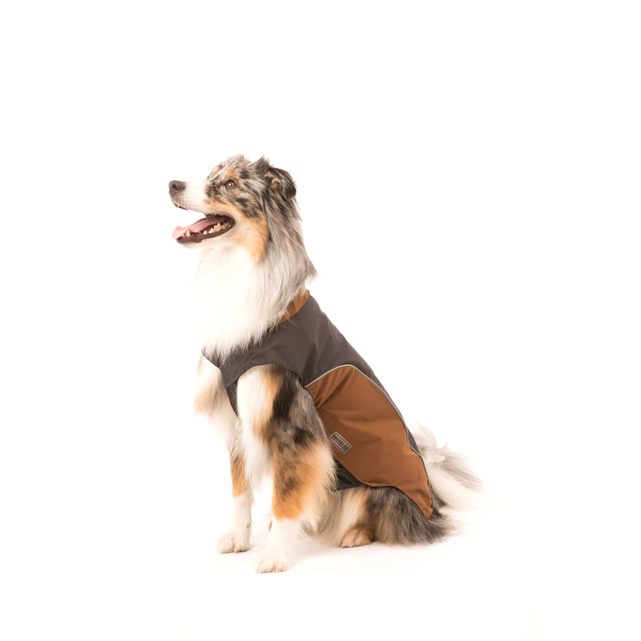 Wolters Regenjacke für Hunde Easy Rain Bild 18