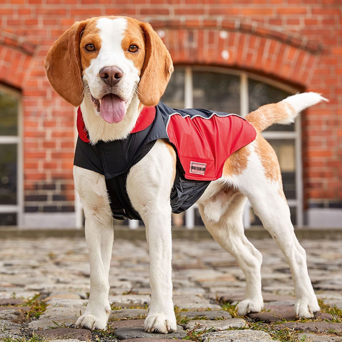 Wolters Regenjacke für Hunde Easy Rain Bild 2