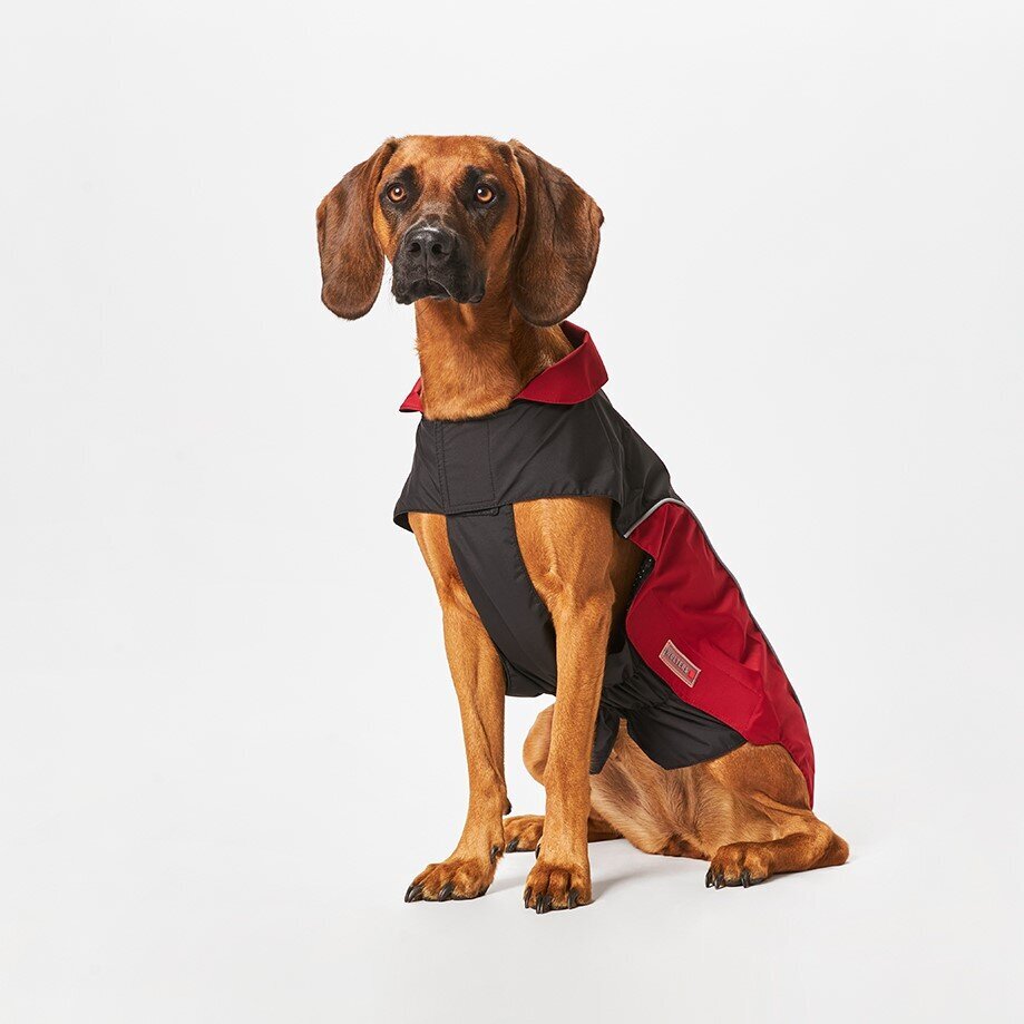 Wolters Regenjacke für Hunde Easy Rain Bild 21