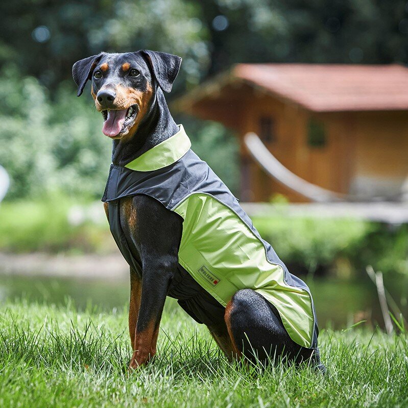 Wolters Regenjacke für Hunde Easy Rain Bild 22