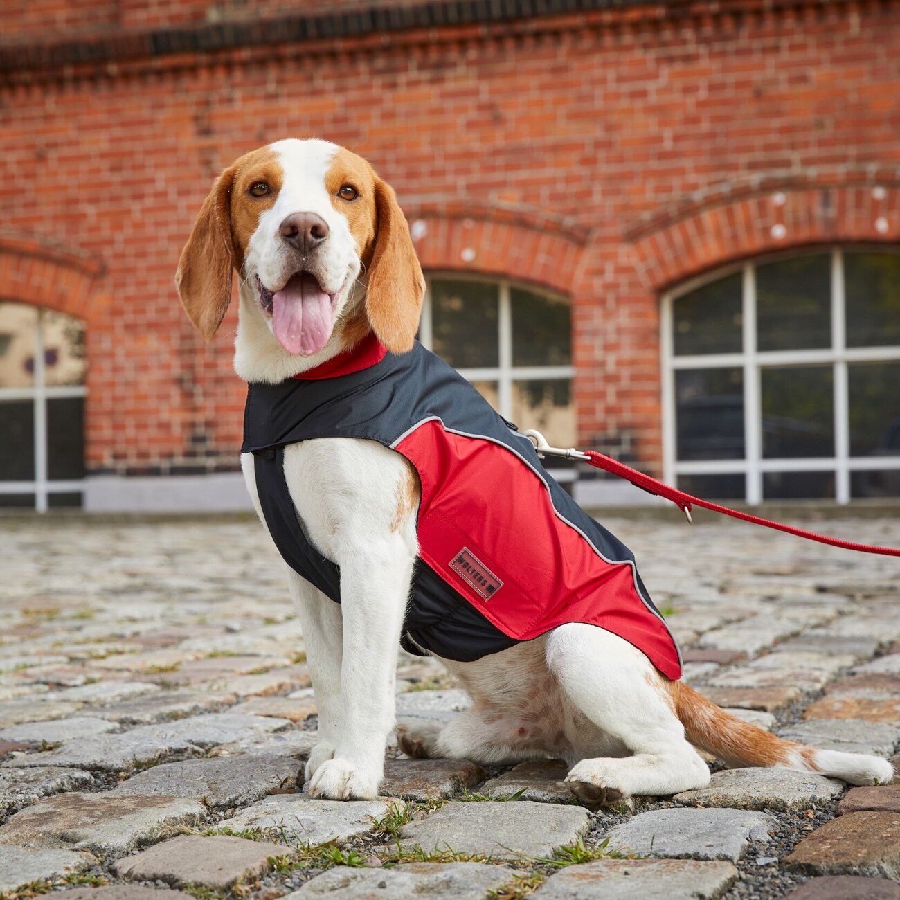 Wolters Regenjacke für Hunde Easy Rain Bild 24