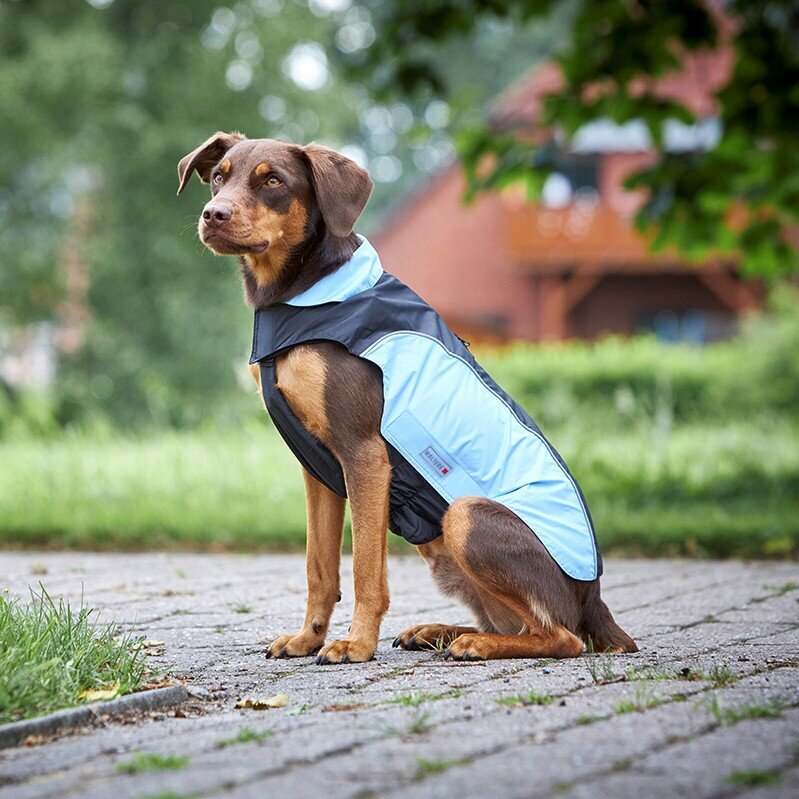 Wolters Regenjacke für Hunde Easy Rain Bild 25