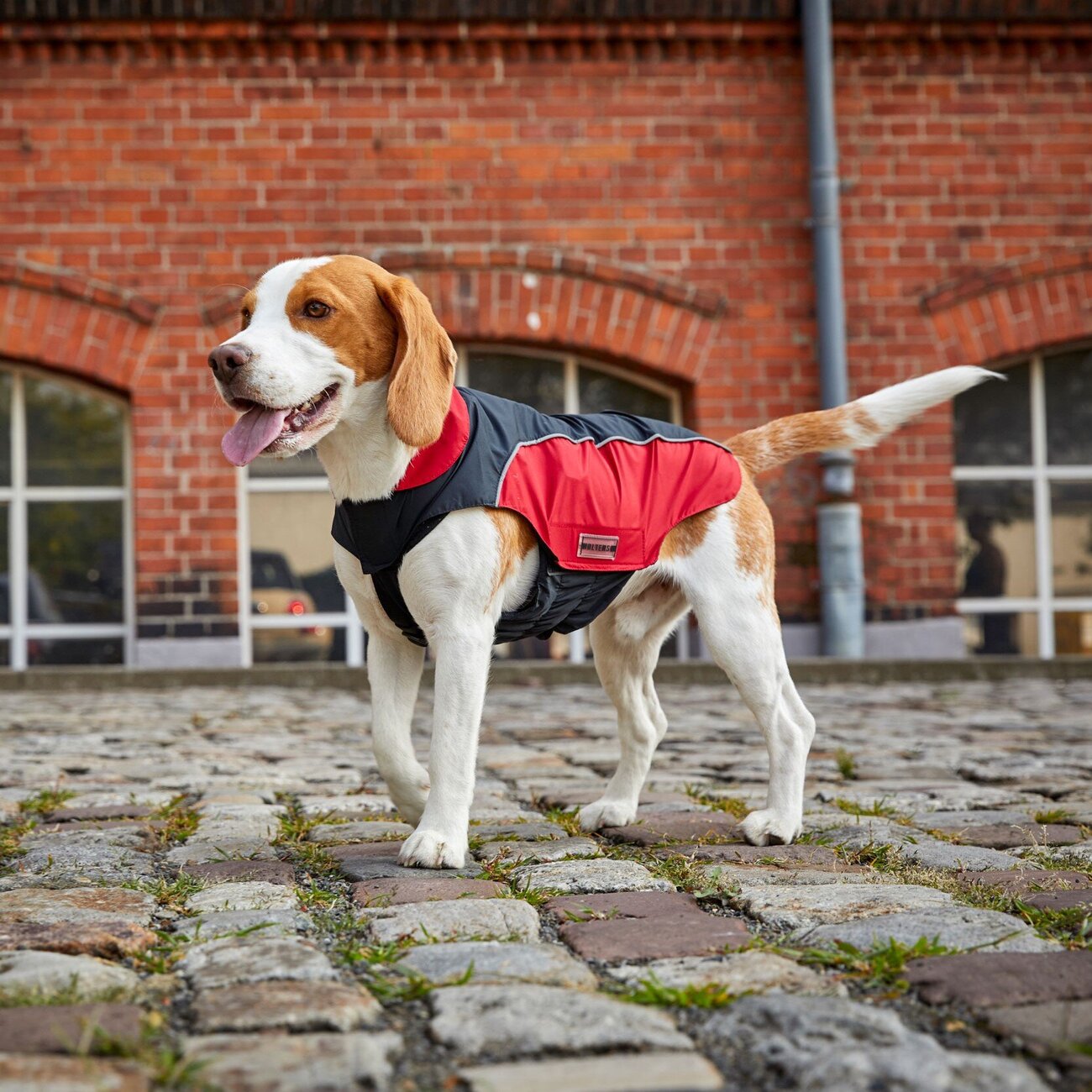 Wolters Regenjacke für Hunde Easy Rain Bild 27