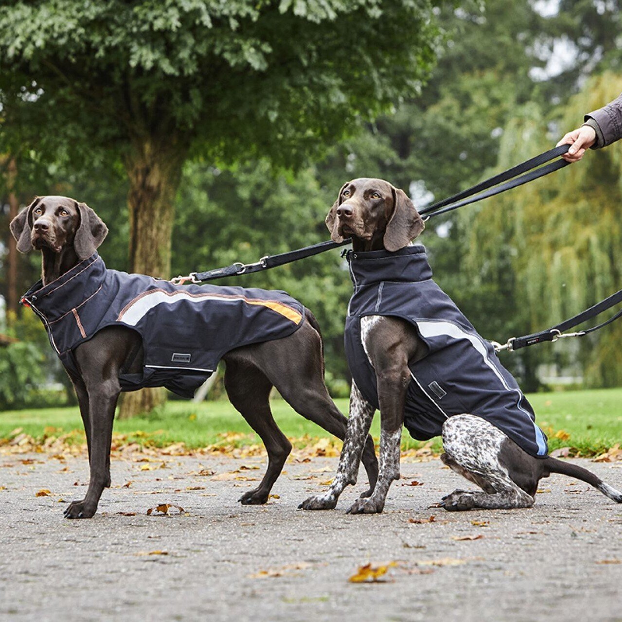 Regenjacke Xtra Strong Bild 2