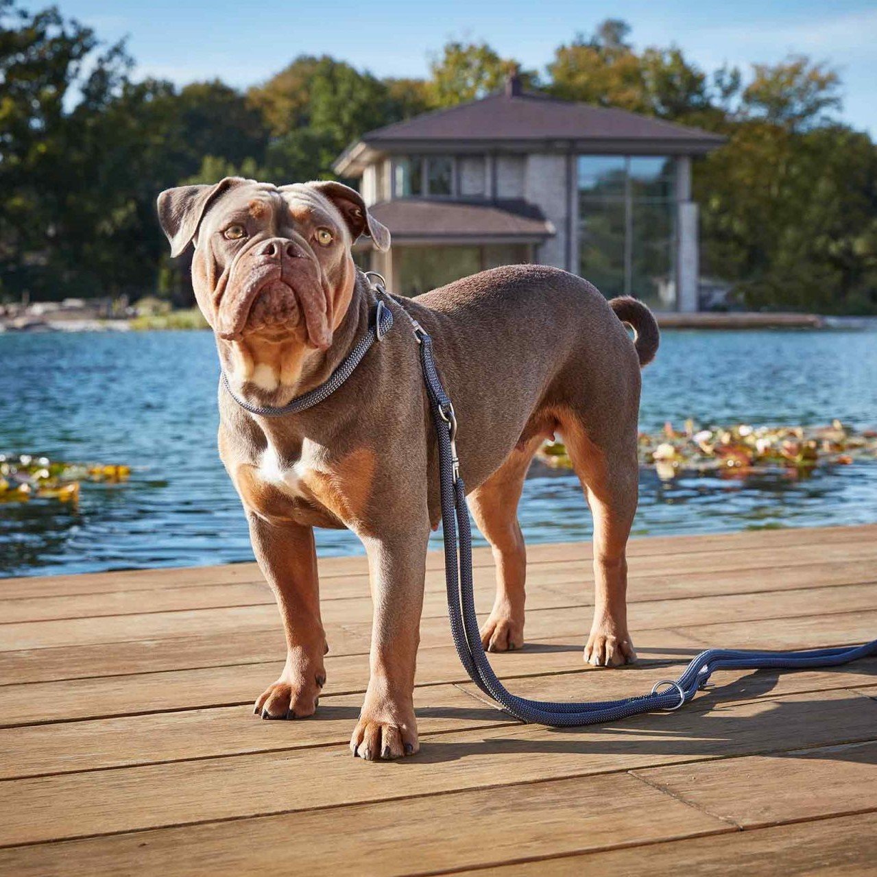 Wolters Schlupfhalsband K2 Tau Bild 3