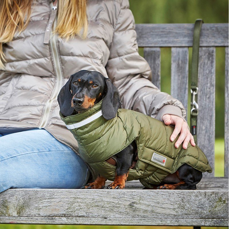 Steppjacke Cosy für Dackel Bild 4