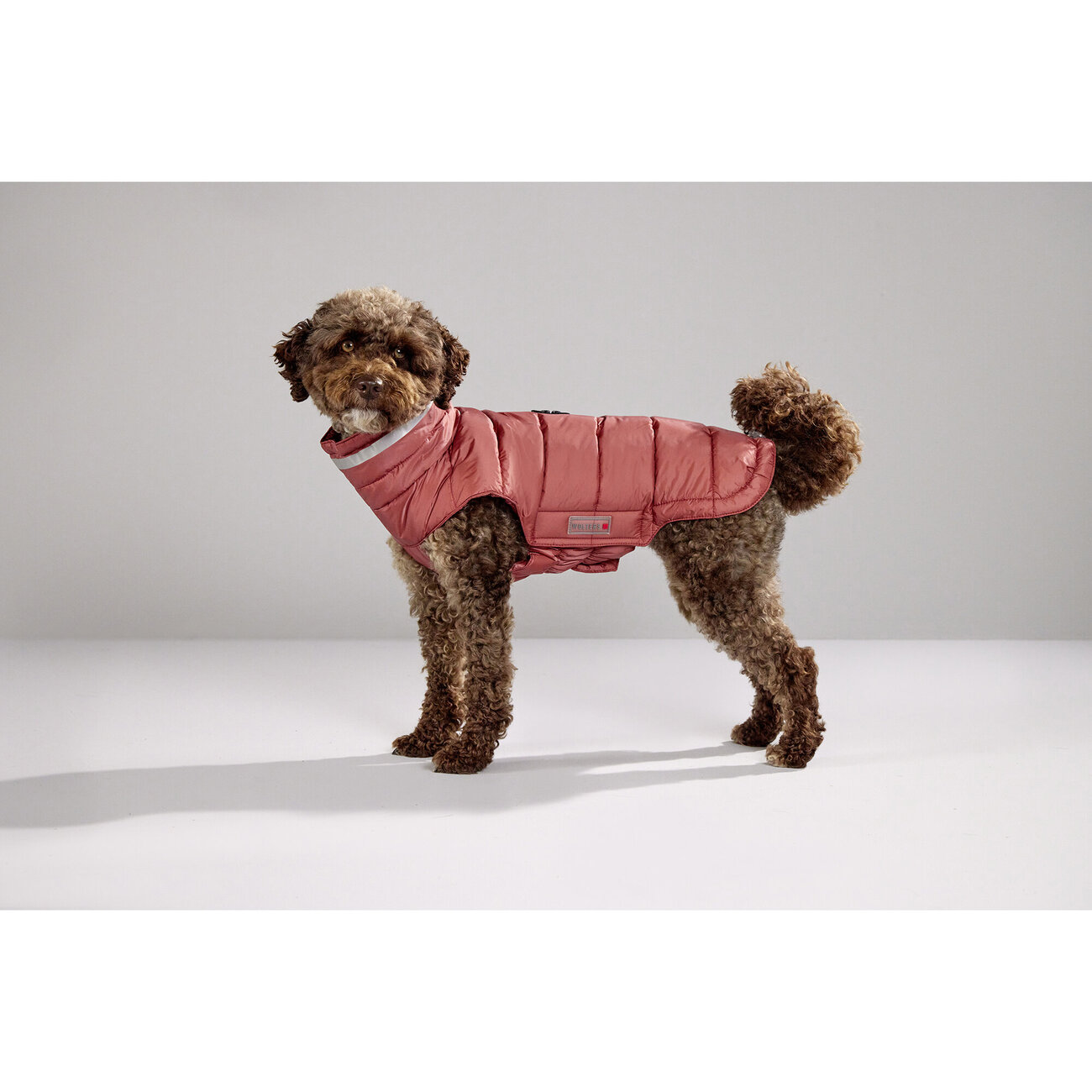 Steppjacke Hund Cosy Bild 10